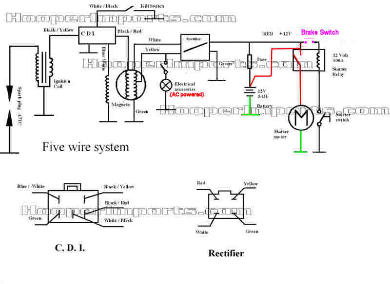 110cc Basic Wiring Setup, 110cc 5 Pin Cdi Wiring Diagram
