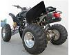 NST 250cc Quads-capture2.jpg