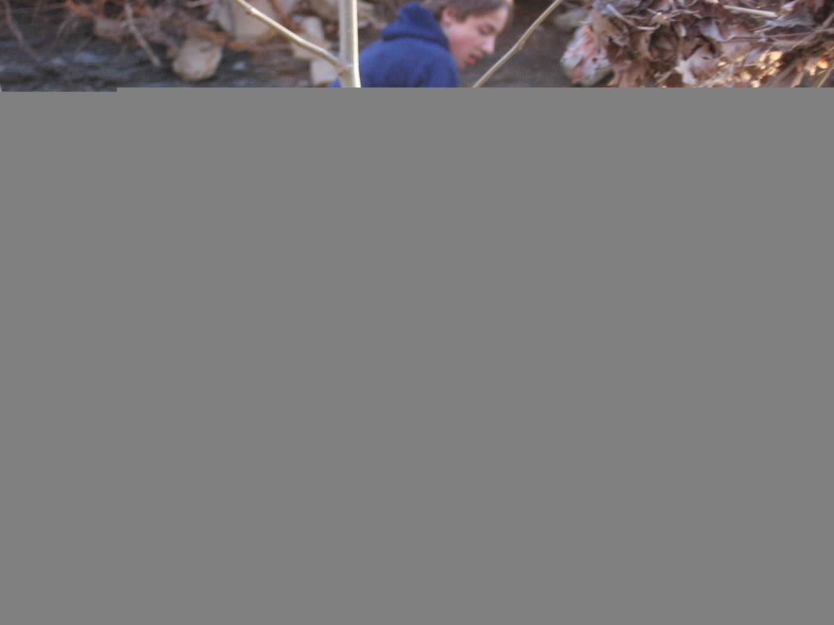 Name:  1574e668.jpg
Views: 18
Size:  32.3 KB