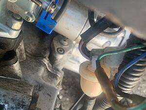 Chinese quad help-img_0990.jpeg