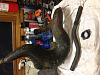 Hpd race pipe polaris scrambler 400-image.jpg