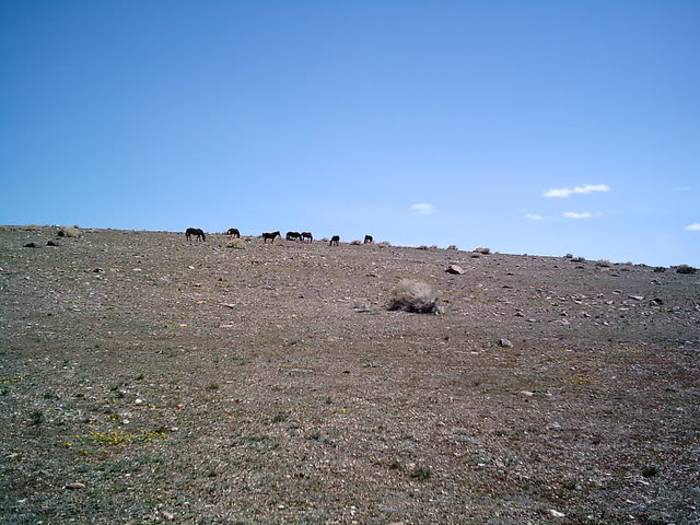 Name: IMAG0064.jpg
Views: 31
Size: 72.5 KB