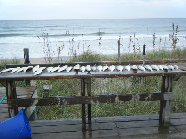 Name:  2009beach041-1.jpg
Views: 102
Size:  68.8 KB