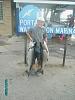 Salmon fishing-our-catch-morning-8-10-07.jpg