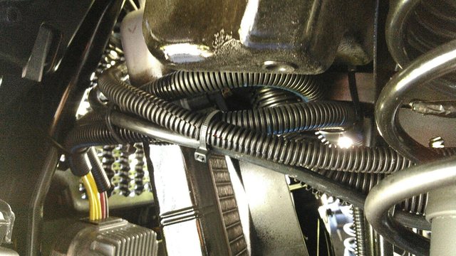 Name:  KIMG00171_zpstqheffbe.jpeg
Views: 64
Size:  63.1 KB