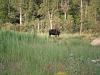 Back from Jackman, Maine-mainevac2010-041a.jpg
