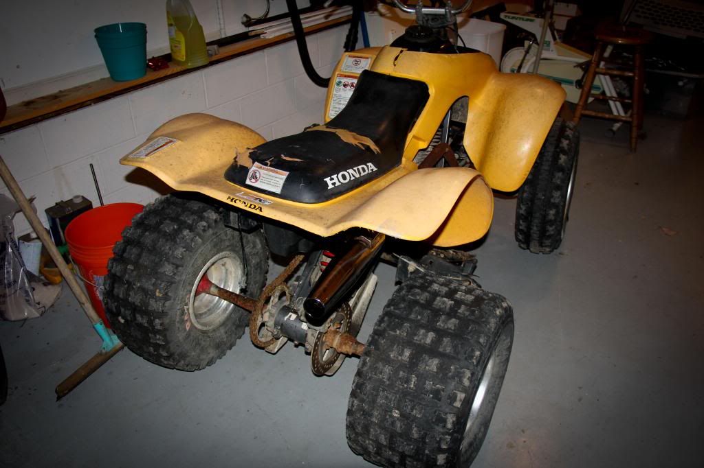 Name:  IMG_8831-Copy_zps340658e0.jpg
Views: 146
Size:  82.1 KB