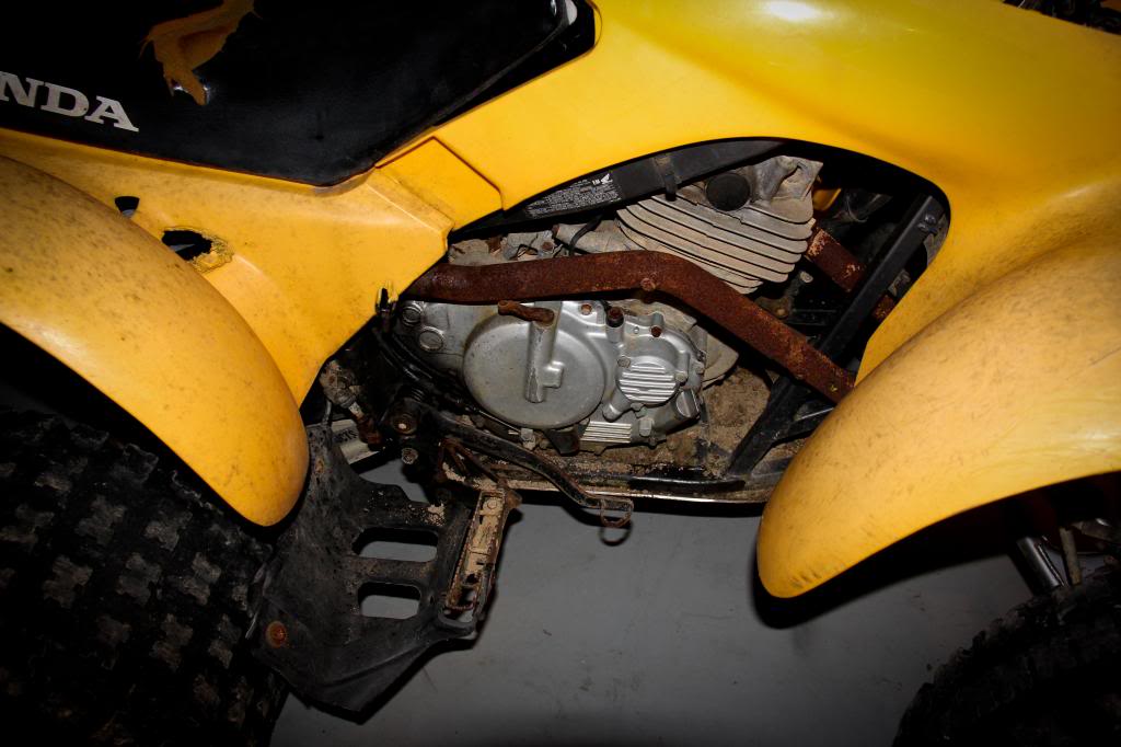 Name:  IMG_8834-2_zps5470a3a2.jpg
Views: 115
Size:  76.4 KB