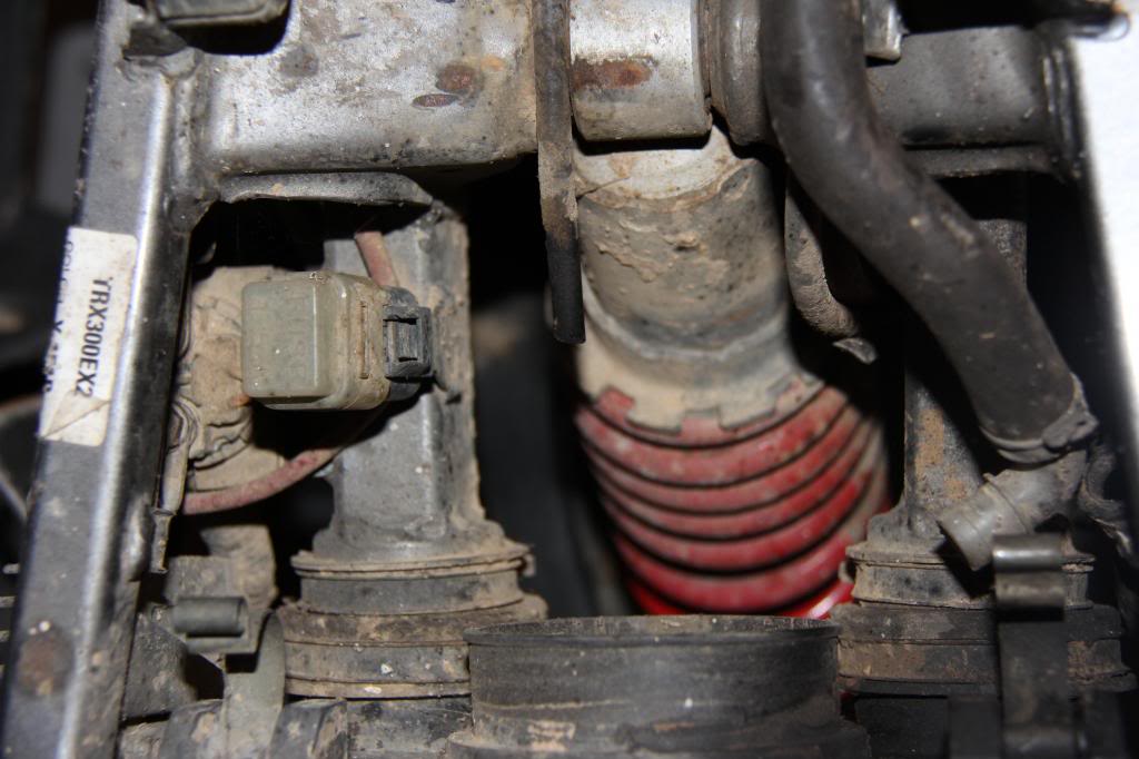 Name:  IMG_8840-2_zpsaf3a8e9a.jpg
Views: 130
Size:  82.0 KB