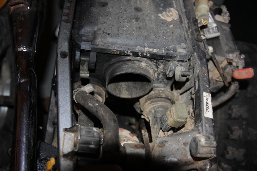 Name:  IMG_8841-2_zps68b2c87f.jpg
Views: 96
Size:  78.2 KB