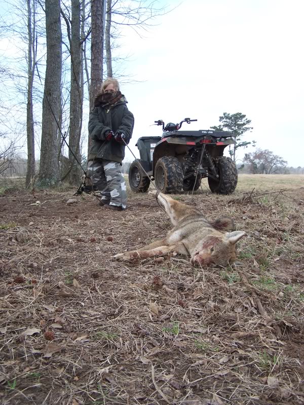 Name:  Picture063.jpg
Views: 181
Size:  167.7 KB