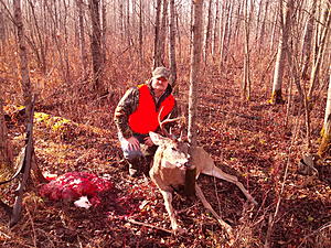 Post your hunting/fishing photos-aaa-mn-deer-cam00245.jpg
