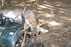 New hunting contest!!!!!-my-buck.jpg