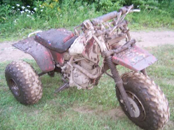 Name:  trike1.jpg
Views: 18
Size:  47.9 KB