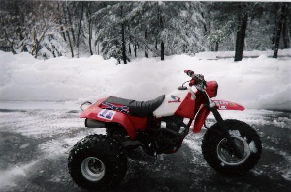 Name:  trike.jpg
Views: 19
Size:  37.5 KB