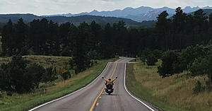 Newbie in the Black Hills, SD-entering-my-heaven-2aug17c.jpg