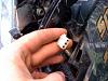 Anyone recognize this plug? I'm compfused!-photo-2-.jpg