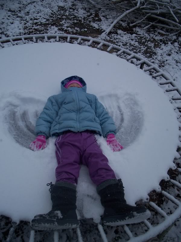 Name:  SNOW035.jpg
Views: 24
Size:  84.4 KB