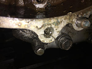 Found my oil leak - cylinder gasket-photo259.jpg