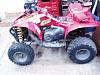 The Polaris Nuthouse-scram-250-006.jpg