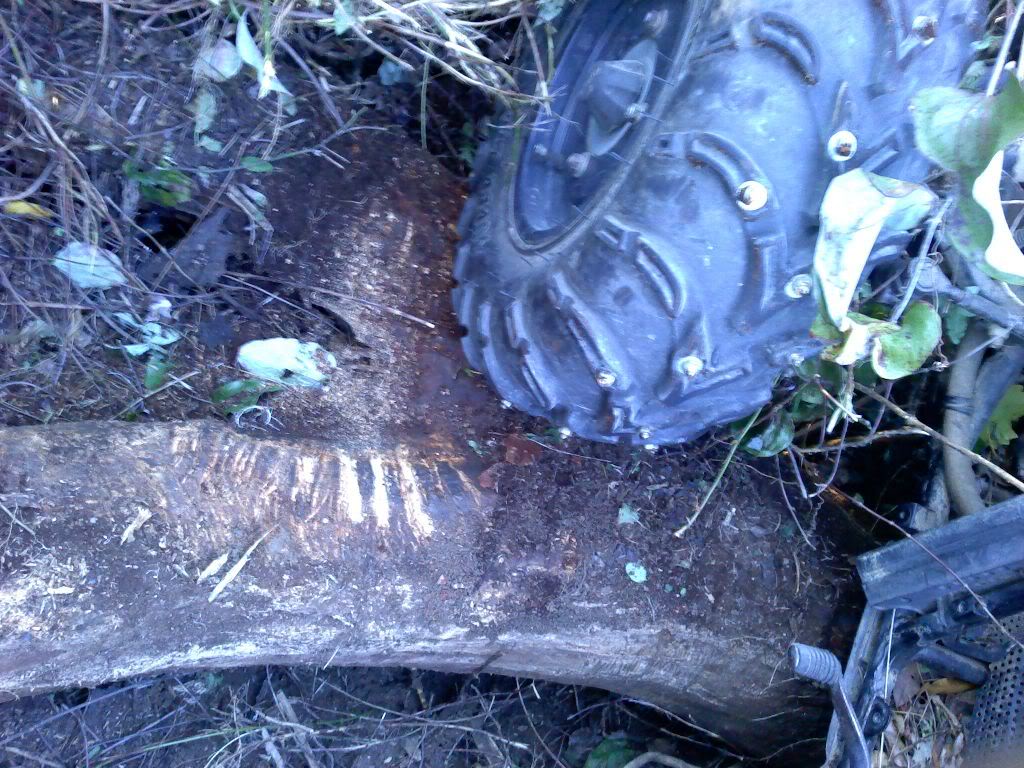 Name:  1026021740.jpg
Views: 654
Size:  184.9 KB