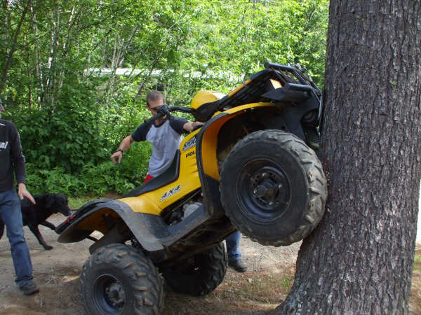 Name:  gettingdownfromtree.jpg
Views: 357
Size:  59.0 KB