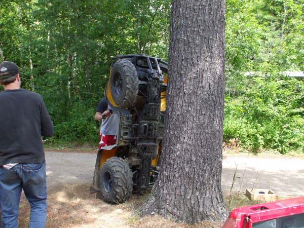 Name:  treeclimbend-1.jpg
Views: 219
Size:  63.5 KB