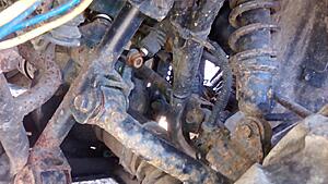 Not running King Quad 300 for 0?  Need advice.-kedw48b.jpg