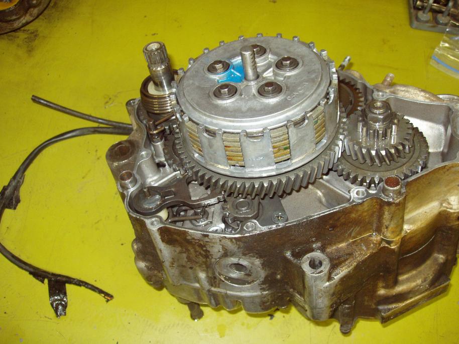 lt250r engine oil