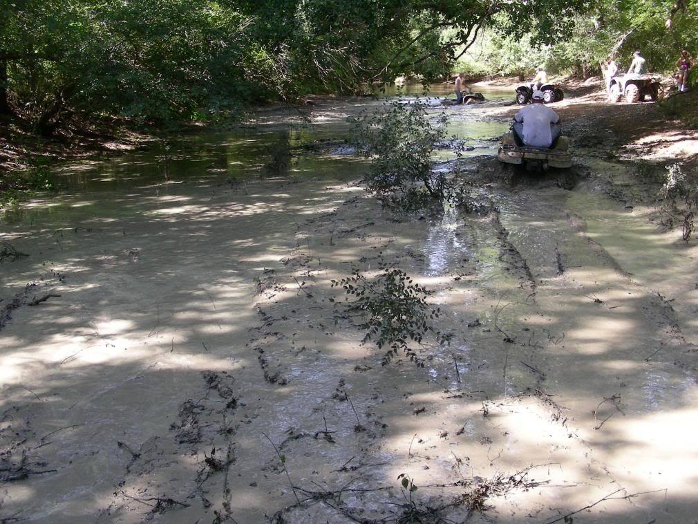 Name:  SoggyBottoms024.jpg
Views: 85
Size:  168.0 KB