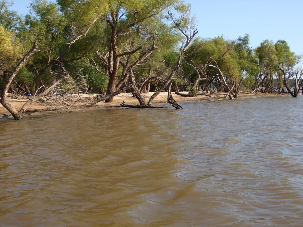 Name:  Picture028.jpg
Views: 78
Size:  205.9 KB