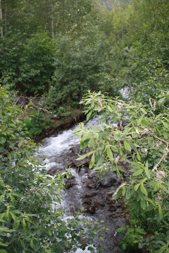 Name:  IMG_0494.jpg
Views: 13
Size:  196.2 KB