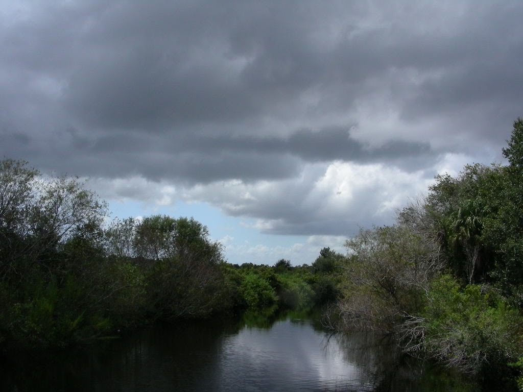 Name:  ThreeLakesBamboo027.jpg
Views: 39
Size:  88.8 KB