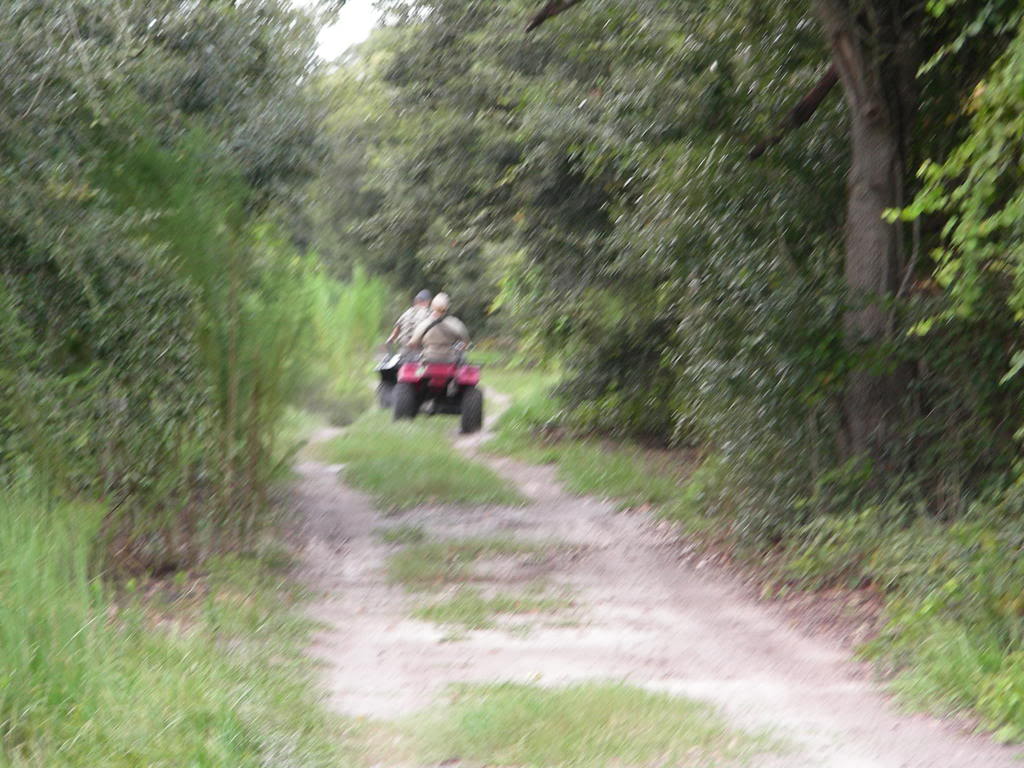 Name:  ThreeLakesBamboo021.jpg
Views: 86
Size:  126.9 KB