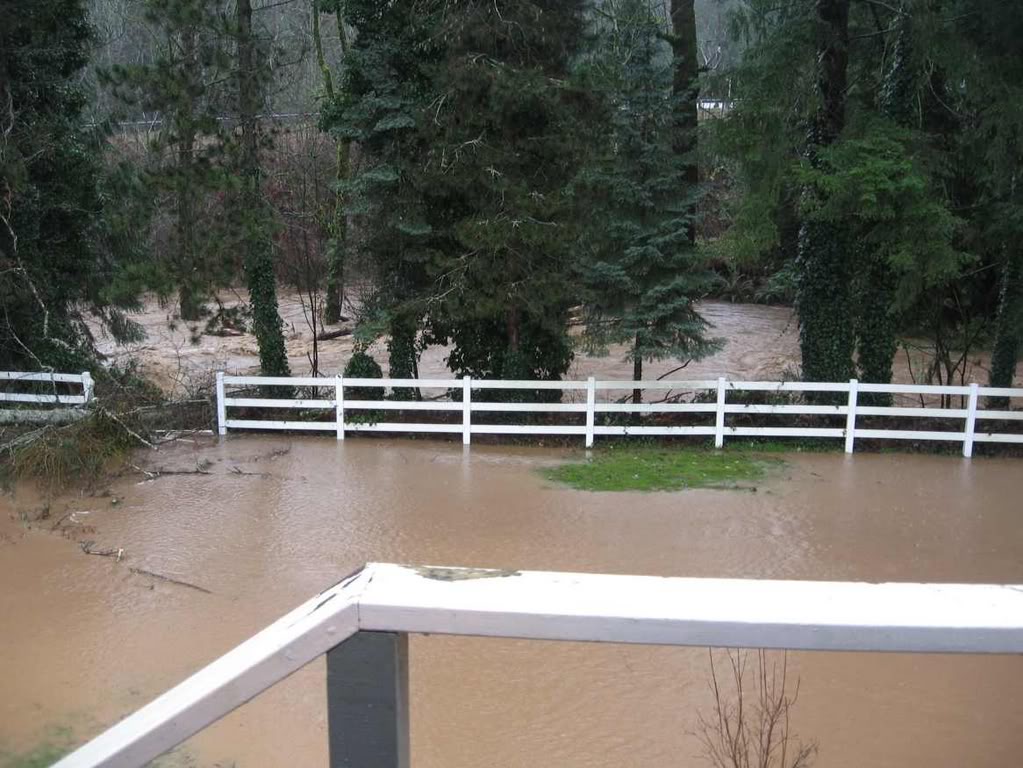Name:  Backyard.jpg
Views: 18
Size:  134.5 KB