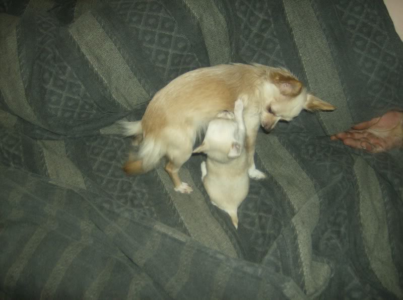 Name:  Picture179.jpg
Views: 15
Size:  64.2 KB