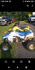 LT250R guy's Avatar