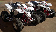 SprocketList Weekly ATV: Sniffing Out Good Deals So You Don’t Have To