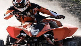 Ask the Editors: Help Me Choose a KTM!