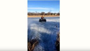 Video:  New Quad, Needs New Friend