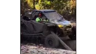 Video: SxS Stump Removal Service