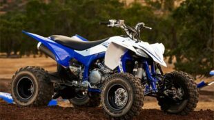 Ask The Editors:  Will Stock Race Quads Come Back?