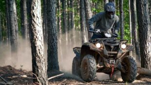 ATV in the woods, trail riding