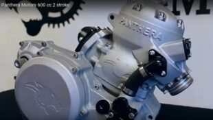 Panthera Motors 600cc 2 Stroke Engine