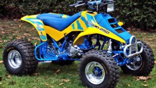 Suzuki LTR250 2-Stroke premix ratio question