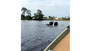 Youtube video of ATV in the lake taken from a boater